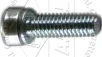 (image for) Amal, screw, mixing chamber & float chamber, concentric