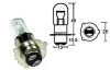 (image for) Bulb, Headlight, P15D-25-3 12v 35/35w, Halogen H6