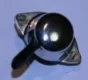 (image for) Dip switch, Lucas pattern, chrome, 7/8in