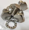 (image for) Bolt, +washers, silencers, Norton Commando, set 4