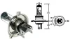 (image for) Bulb, Headlight, P43t-38, 12v 60/55w h4, Halogen