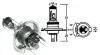 (image for) Bulb, Headlight, PX43T H4 12v 35/35w, Halogen