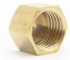 (image for) Fuel pipe cap 1/4 BSP female