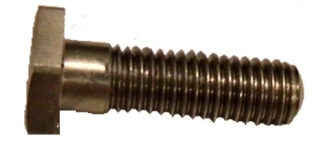 (image for) Bolt, 1/4in x 7/8in x 26tpi slightly domed head CEI BSCY SS